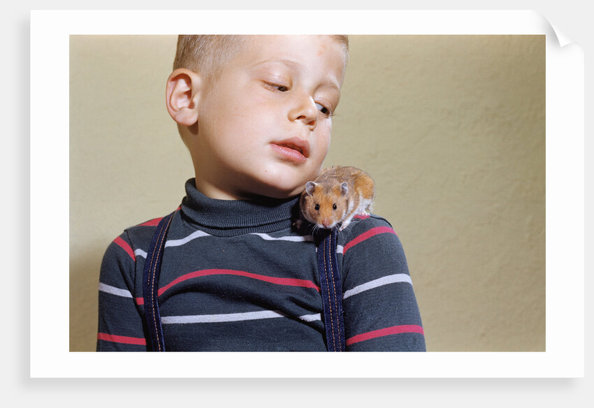 Hamster on Boy's Shoulder by Anonymous