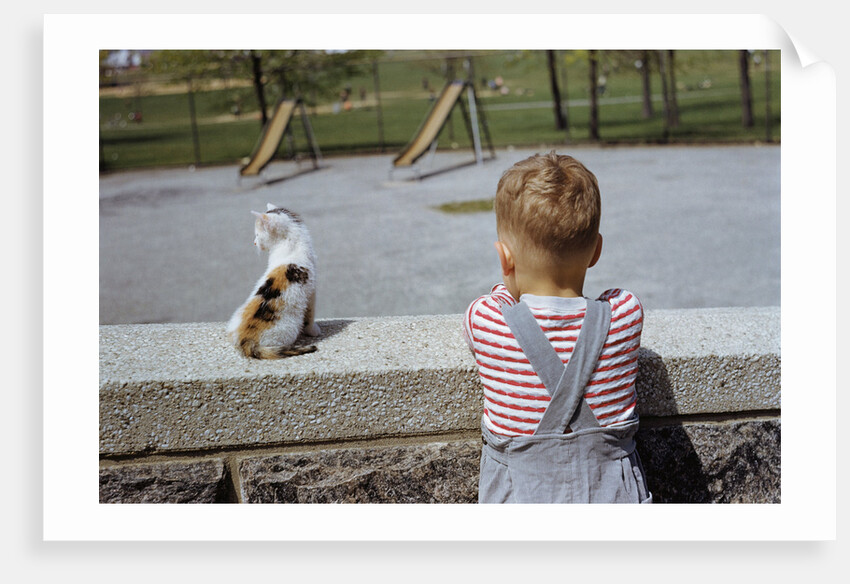 Boy Standing with Kitten in Schoolyard by Anonymous