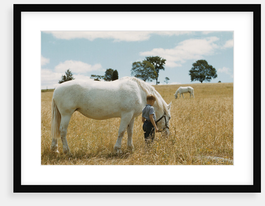 Boy Standing with Horse in a Field by Anonymous