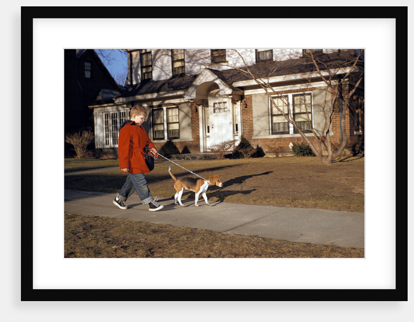 Boy Walking Dog on Sidewalk by Anonymous