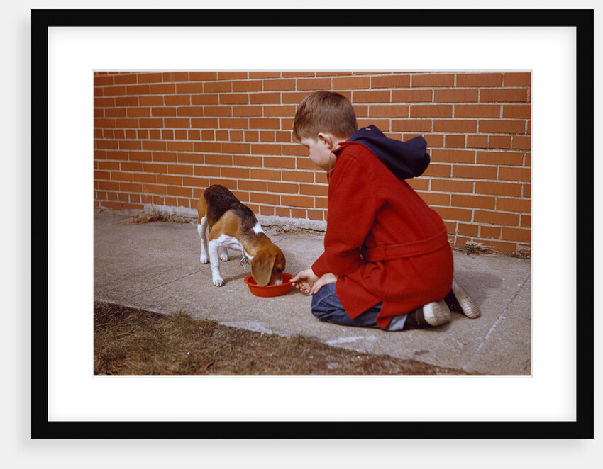Boy Feeding Dog on Sidewalk by Anonymous