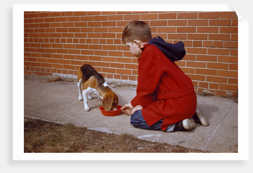 Boy Feeding Dog on Sidewalk by Anonymous