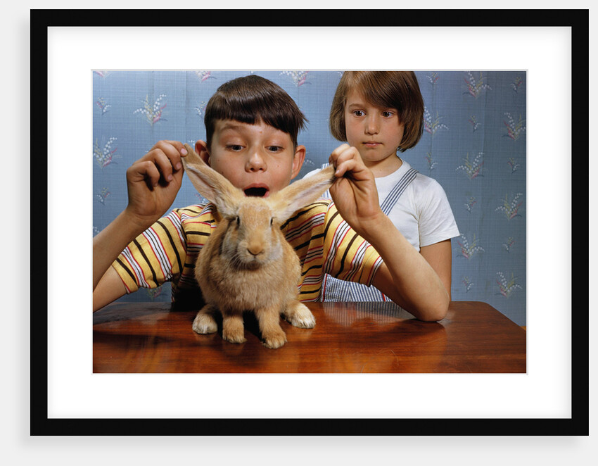 Annoying Brother Playing With His Sister's Pet Rabbit by Anonymous