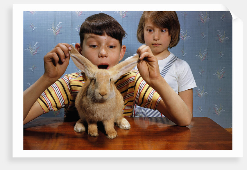 Annoying Brother Playing With His Sister's Pet Rabbit by Anonymous