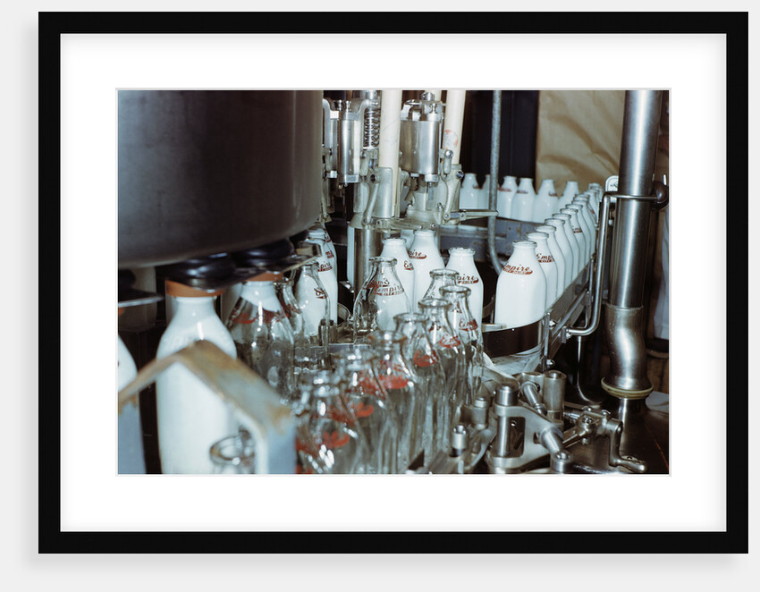 Bottling Milk at a Plant by Anonymous
