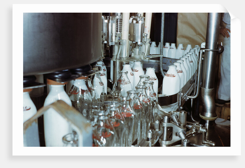 Bottling Milk at a Plant by Corbis