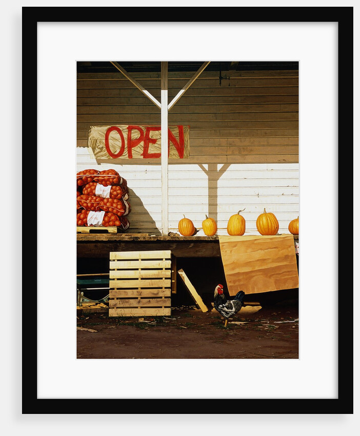 Open by Reynard Milici