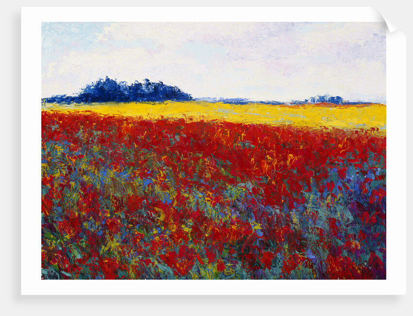 Tulip Field by Gail Wells-Hess