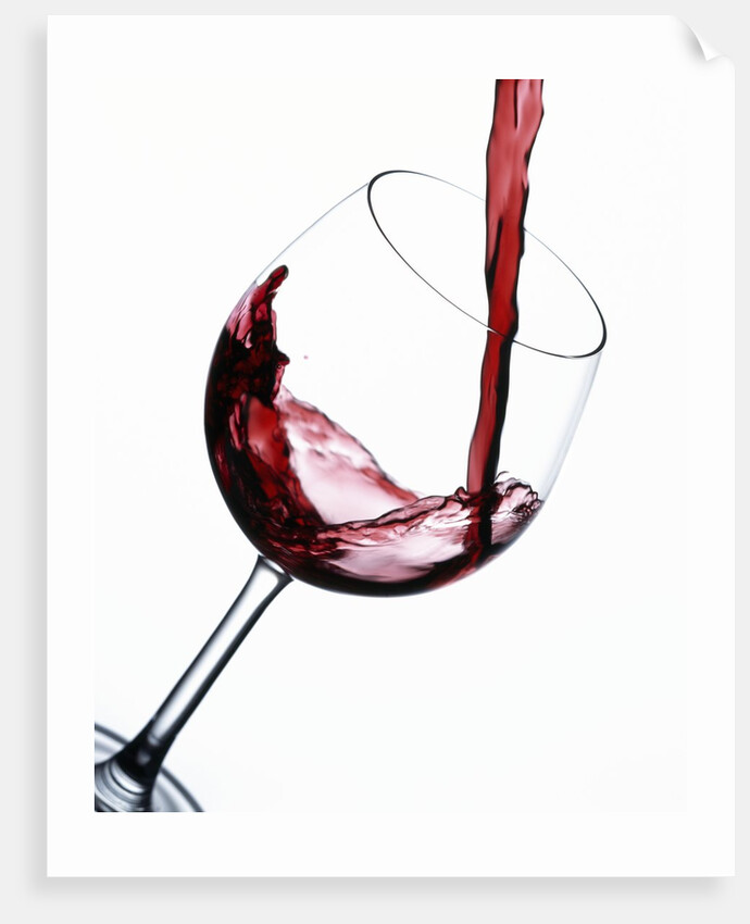 Pouring Red Wine into Wine Glass by Anonymous