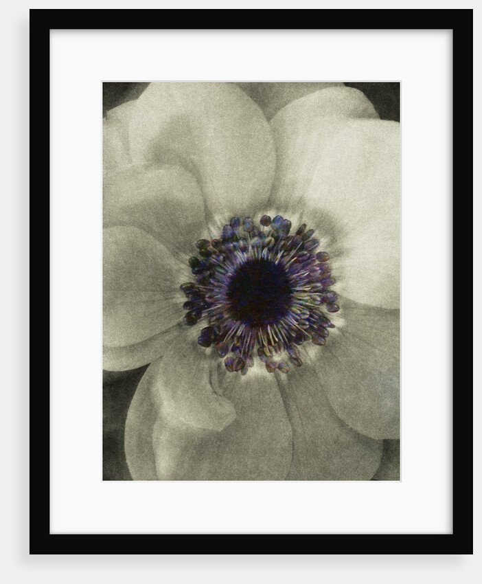 Color Middle by David Roseburg