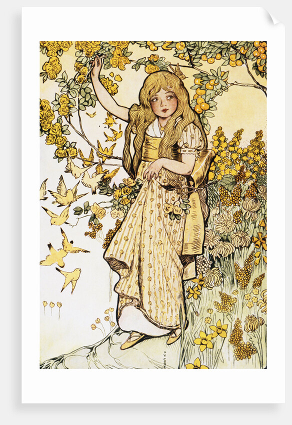 Jackieboy in Rainbowland by Fanny Cory