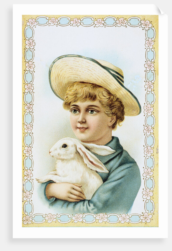 Postcard Depicting a Boy Holding a White Rabbit by Anonymous
