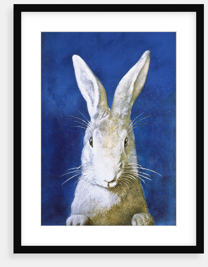 Magazine Cover Depicting a Rabbit by Frank S. Guild