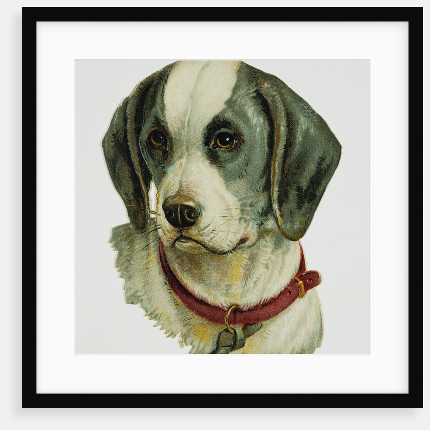 Illustration Depicting a Brown and White Dog by Anonymous