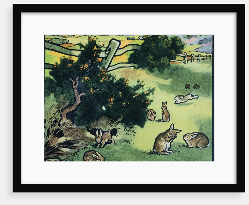 Illustration of Rabbits in a Field by Edwin Noble