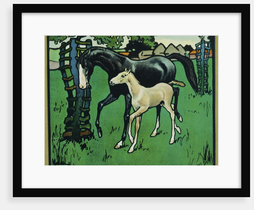Illustration of a Horse and Foal by Edwin Noble