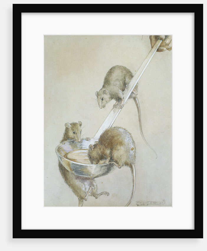 Book Illustration Depicting Three Mice on a Ladle by Margaret Winifred Tarrant