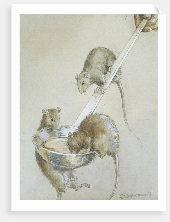 Book Illustration Depicting Three Mice on a Ladle by Margaret Winifred Tarrant