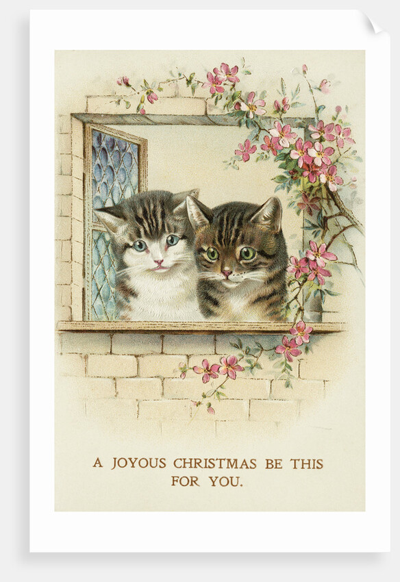 A Joyous Christmas Be This for You Postcard by Anonymous