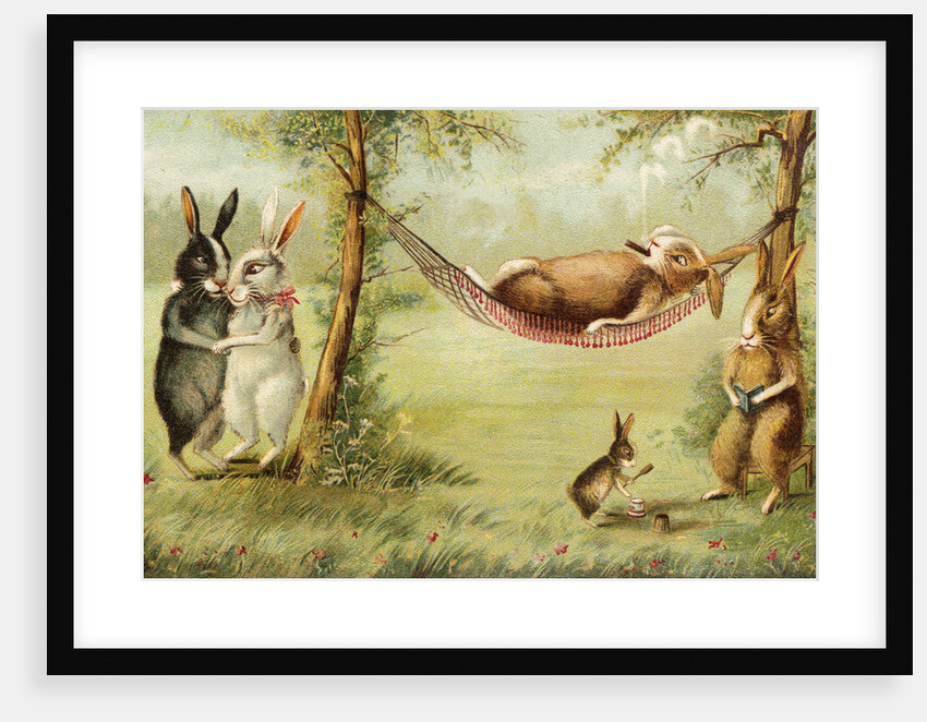 Postcard of Relaxing Rabbits by Anonymous