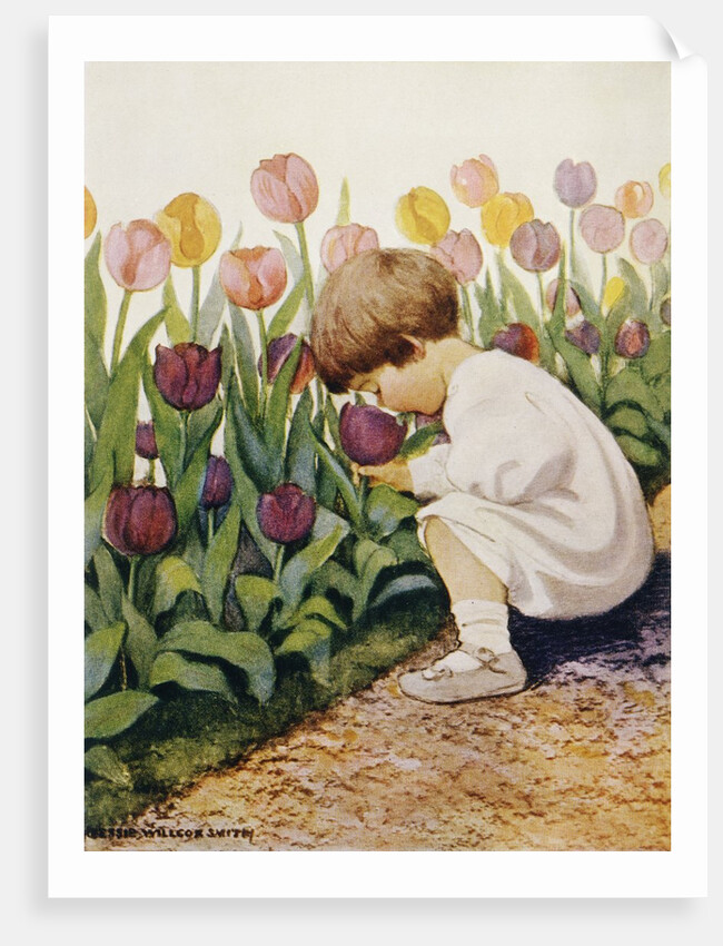 Illustration of a Child Smelling Tulips by Jessie Willcox Smith
