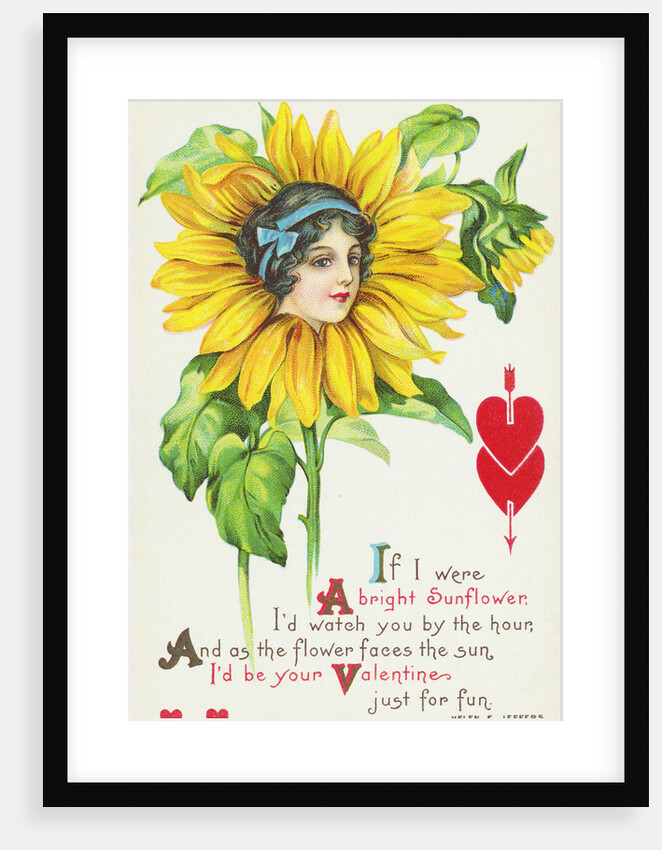 If I Were a Bright Sunflower, I'd Watch You by the Hour Postcard by Anonymous