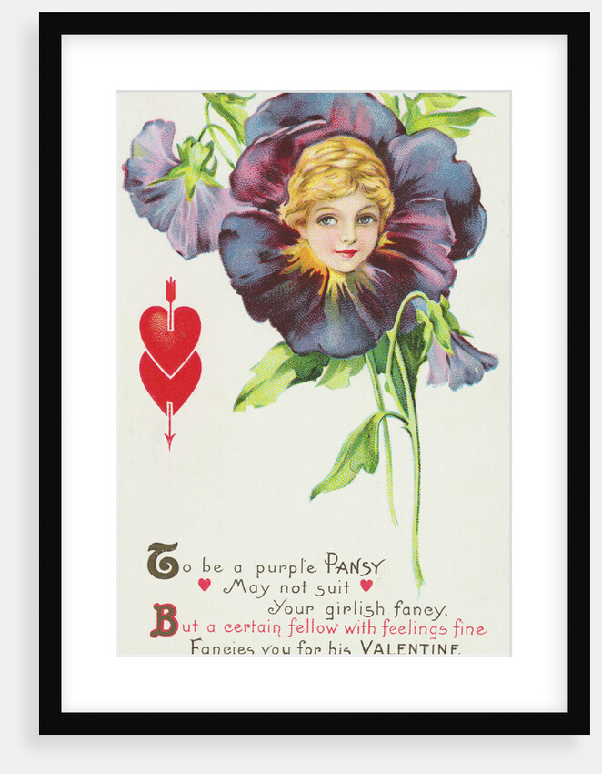 To be a Purple Pansy May Not Suit Your Girlish Fancy Postcard by Anonymous