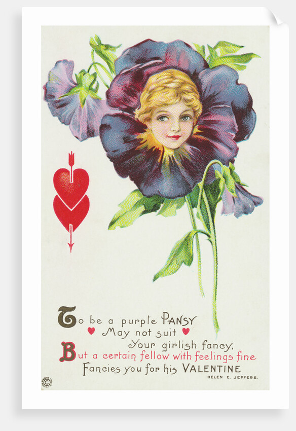 To be a Purple Pansy May Not Suit Your Girlish Fancy Postcard by Anonymous