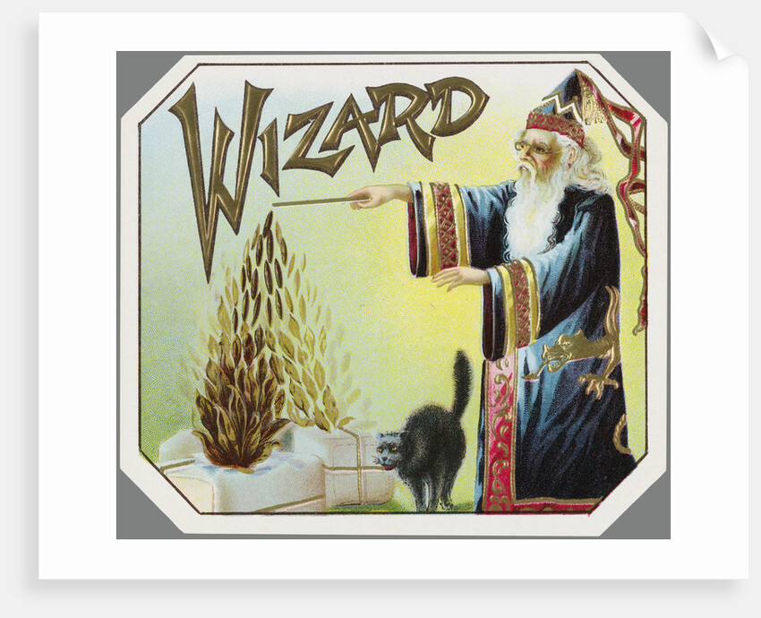 Wizard Trade Card by Anonymous
