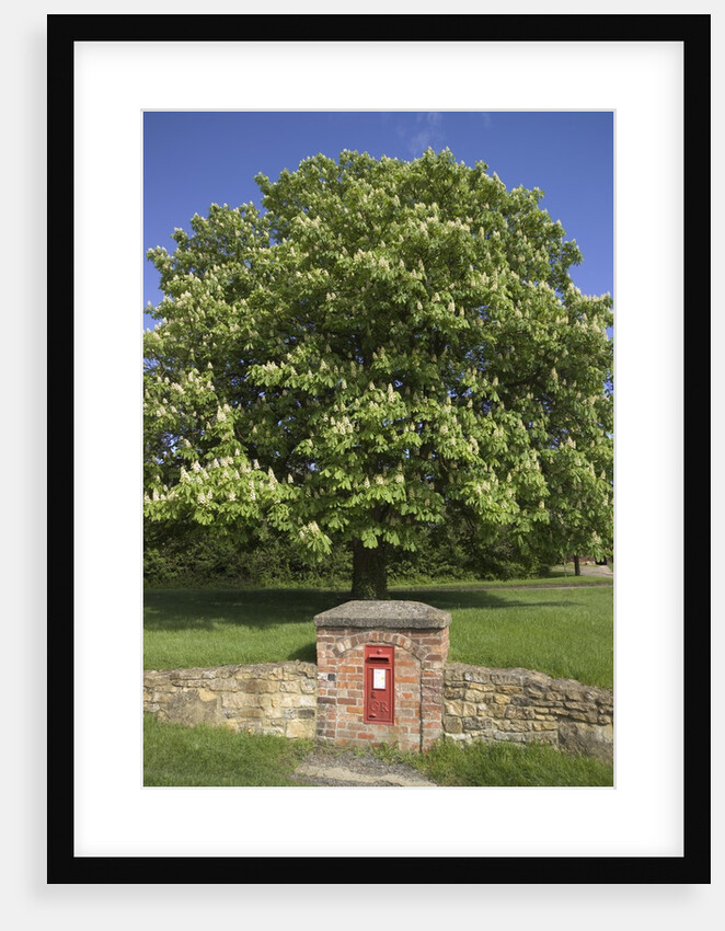 GR Royal Mail Rural Letter Box by Anonymous