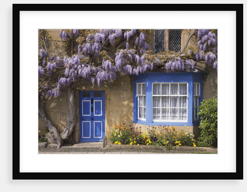 Wisteria-Covered Cottage by Anonymous