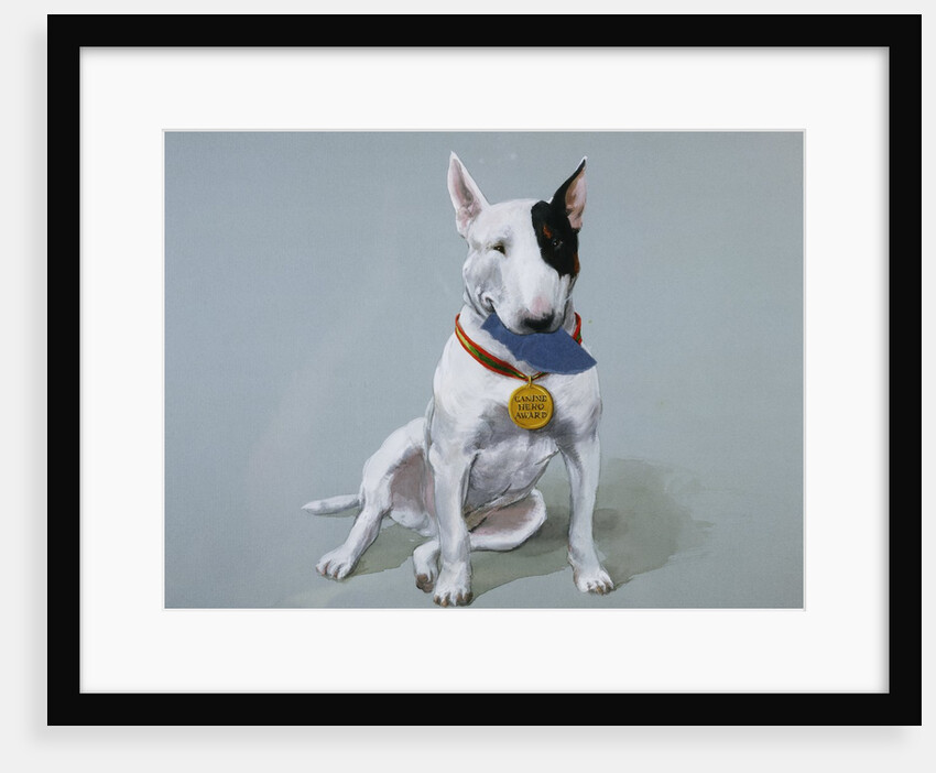 Darby Wearing a Medal from Darby, the Special-Order Pup by Alexandra Day