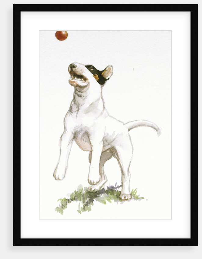 Darby Catching a Ball from Darby, the Special-Order Pup by Alexandra Day