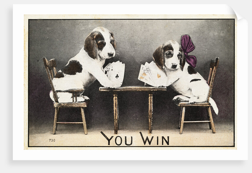 You Win Postcard by Anonymous