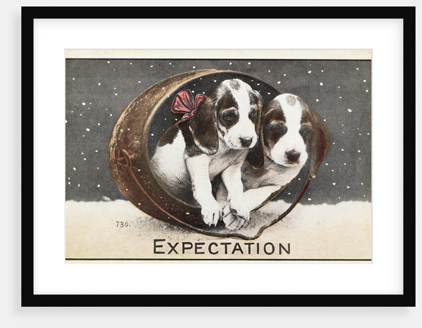 Expectation Postcard by Anonymous