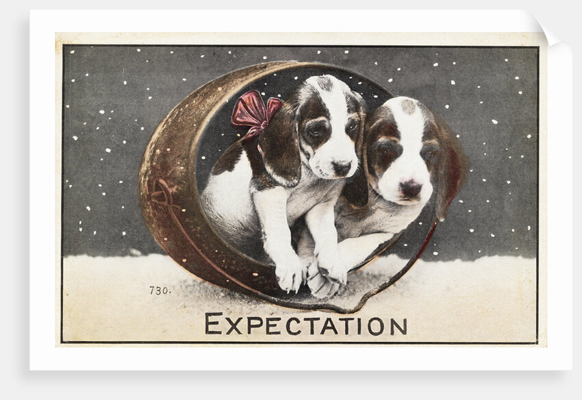 Expectation Postcard by Anonymous