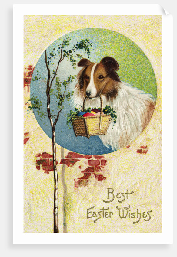 Best Easter Wishes Postcard by Anonymous
