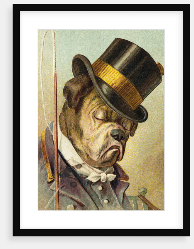 Postcard of a Bulldog Coachman Asleep by Anonymous