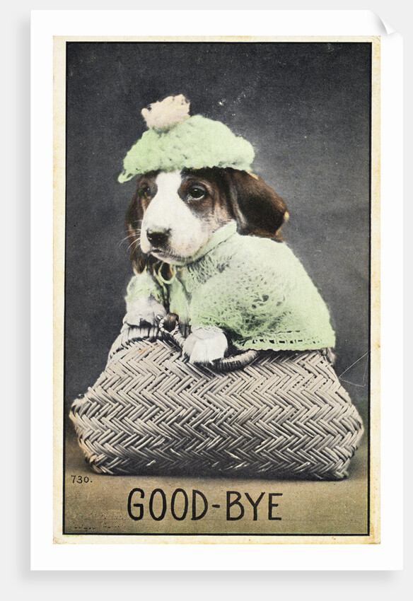 Good-Bye Postcard by Anonymous