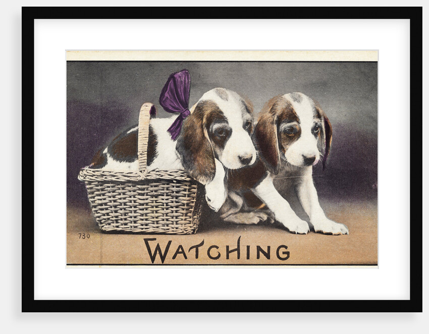 Watching Postcard by Anonymous