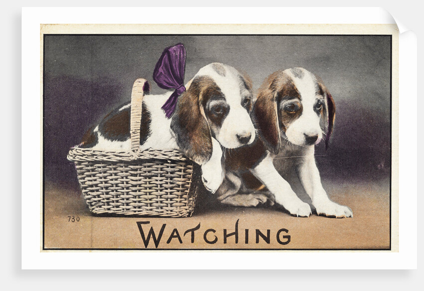 Watching Postcard by Anonymous