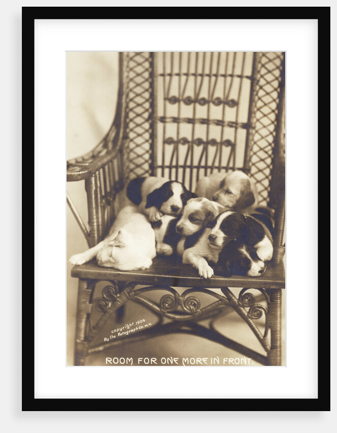 Room For One More In Front Photographic Postcard by Anonymous