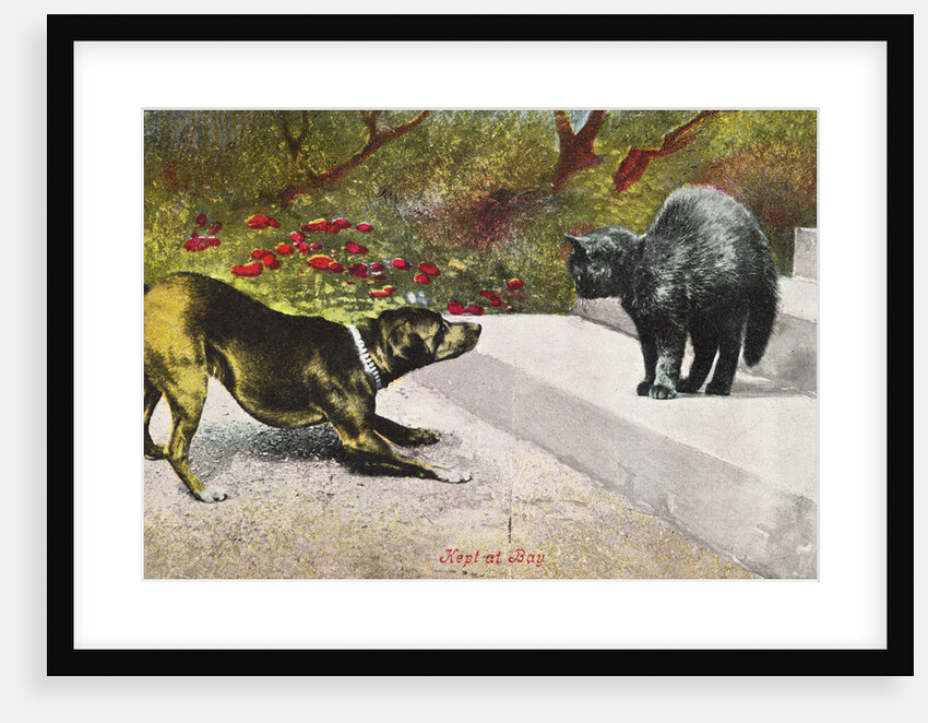 Kept at Bay Color Print Postcard by Anonymous