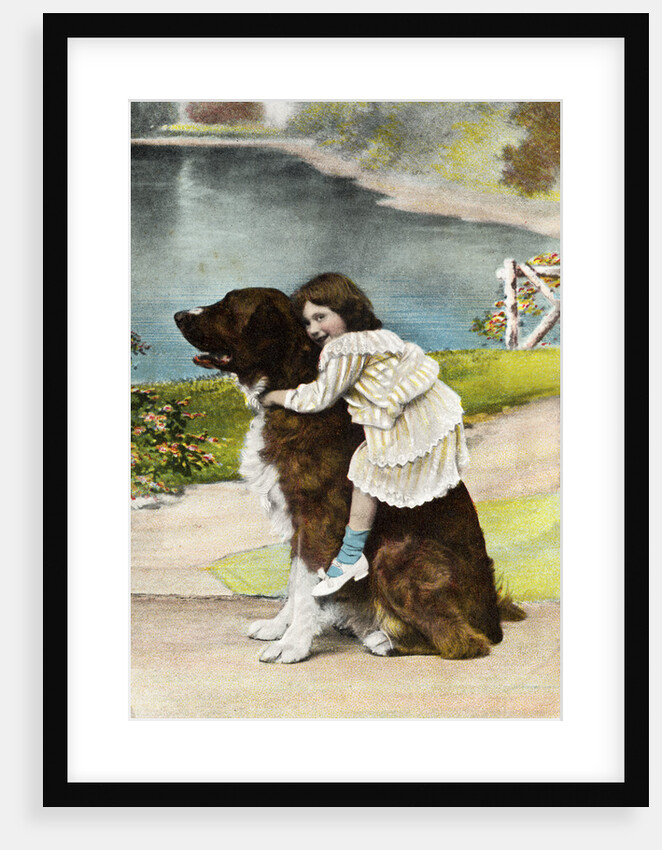 Color Print Postcard Showing Girl Hugging a Bernese Mountain Dog by Anonymous