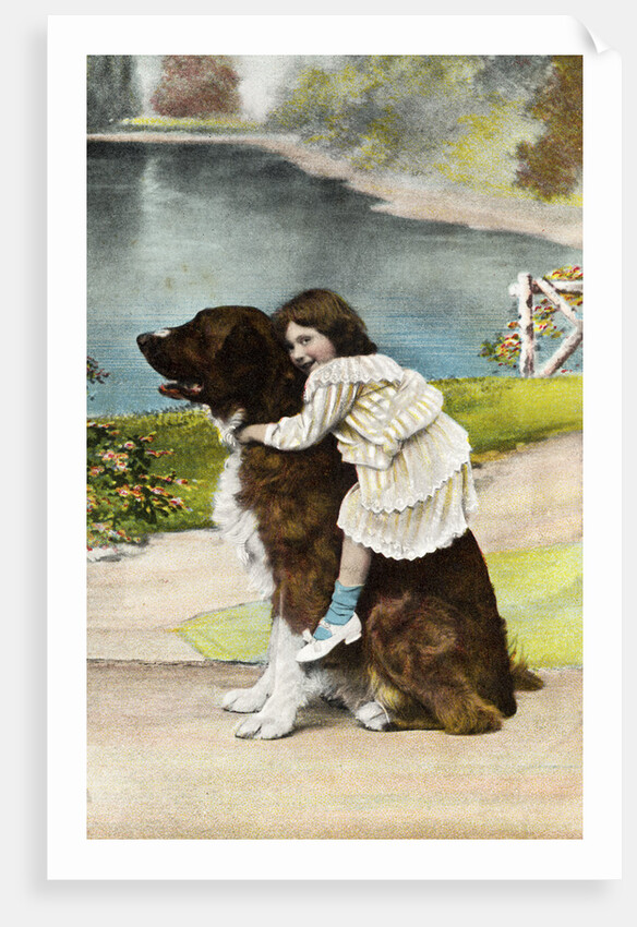 Color Print Postcard Showing Girl Hugging a Bernese Mountain Dog by Anonymous