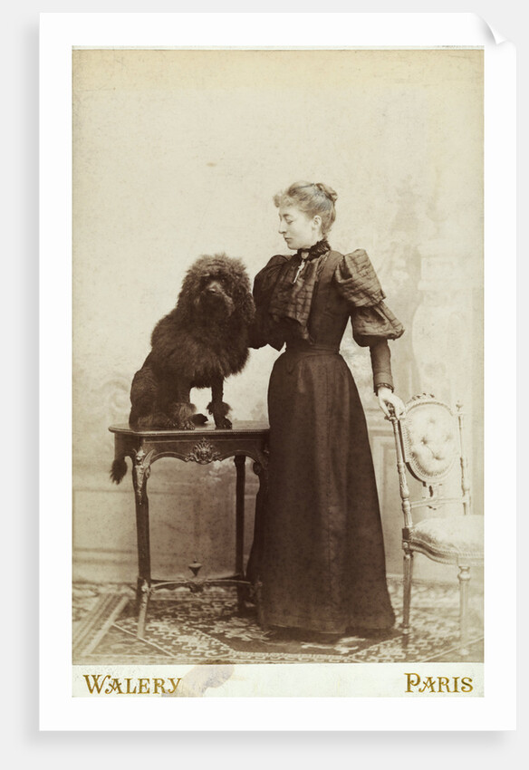 Albumen Print Card Showing Woman with a Black Miniature Poodle by Anonymous