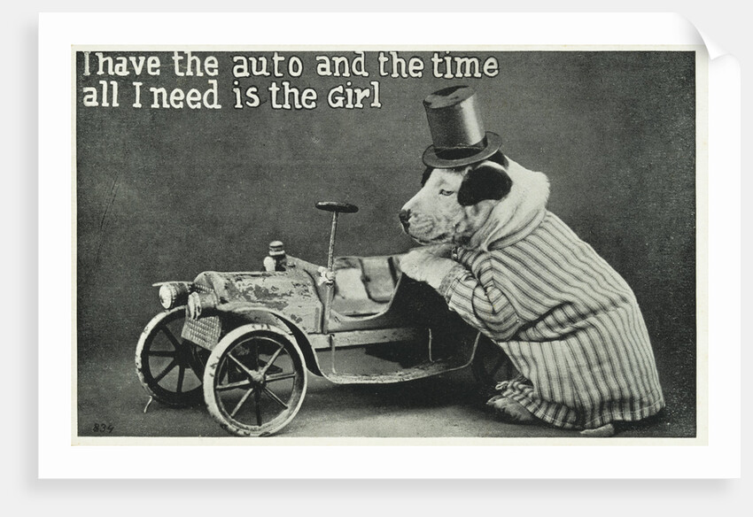 I Have the Auto and the Time Postcard with Dog by Anonymous
