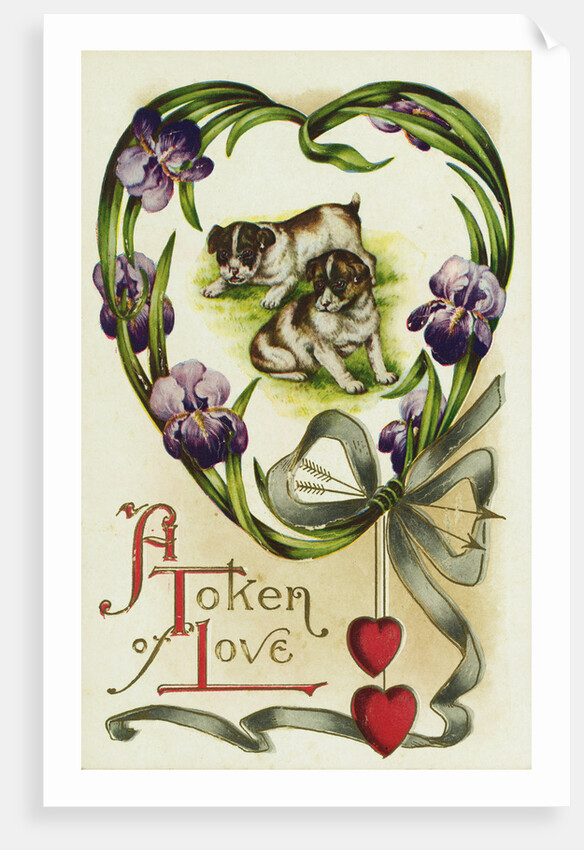 A Token of Love Postcard by Anonymous