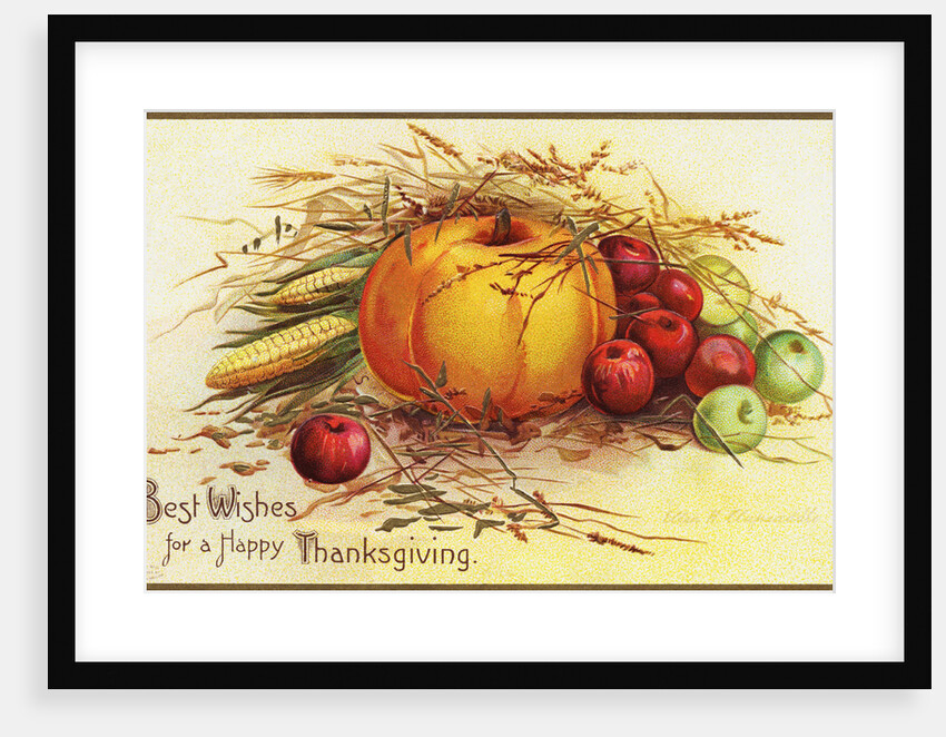Best Wishes for a Happy Thanksgiving Postcard by Anonymous