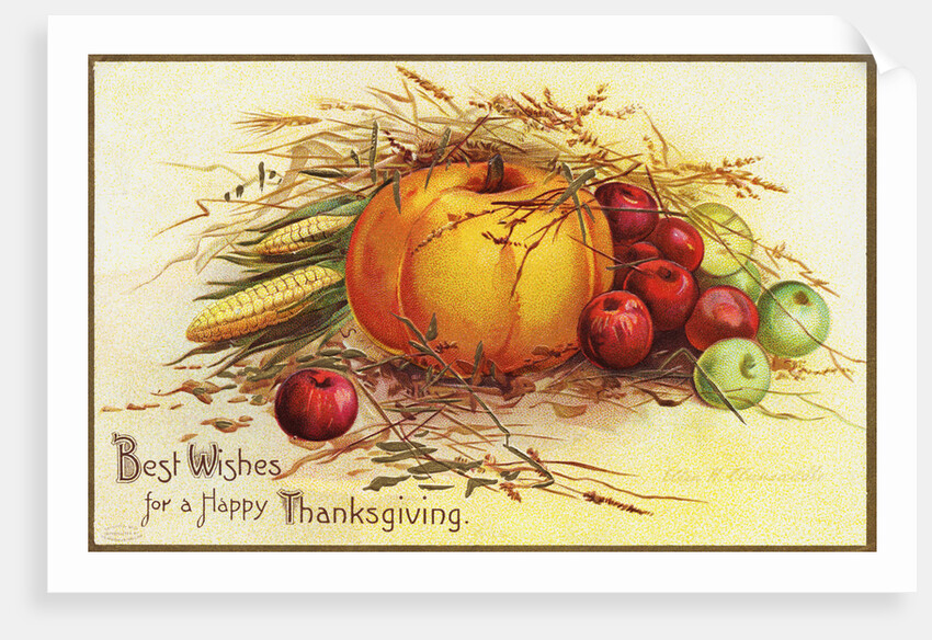 Best Wishes for a Happy Thanksgiving Postcard by Anonymous